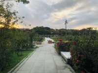 台北｜🌹💐 Taipei Rose Garden 臺北玫瑰園🪴🎋散步賞花花草草