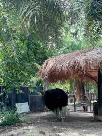 สวนนกชัยนาท ที่เที่ยวชมธรรมชาติ สำหรับทุกคน