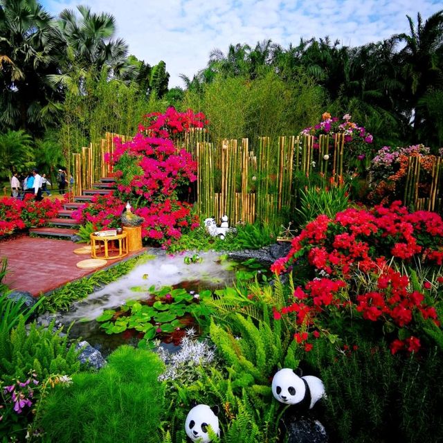 簕杜鵑盛放的蓮花山公園 簕杜鵑盛放的蓮花山公園