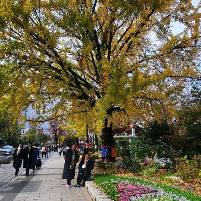 Jeonju Hanok Village