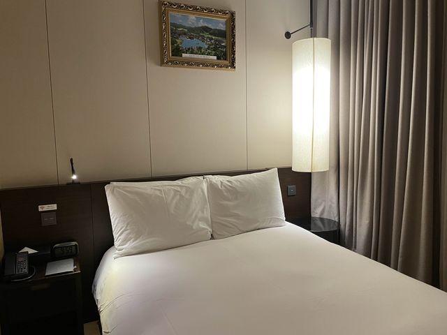 을지로 가성비호텔추천 서울 크라운파크호텔 🛌