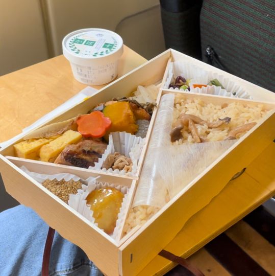日本九州｜鐵路遊分享🚞由布院之森觀光列車