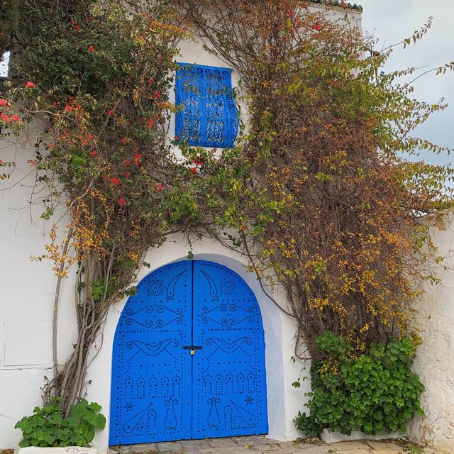 STUNNING WHITEWASHED VILLAGE 💙🤍