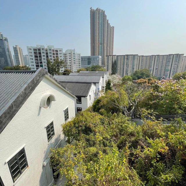 饒宗頤文化館🪷香港🇭🇰文青好去處👏🏻
