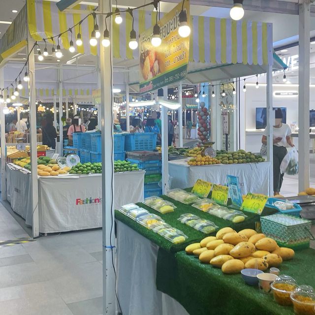 ชวนมาเที่ยวงาน “มหกรรมมะม่วงแปดริ้ว” กันค่า🥭