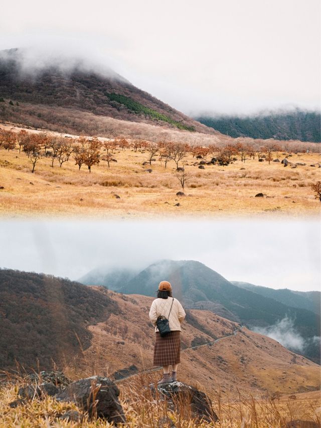 日本九州 | 爬山一座金色的火山🌋