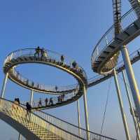 걸어다니는 롤러코스터가 있는곳🎢