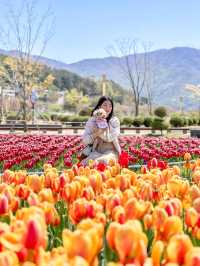 지금 당장 양산에 가야하는 EU 🌷🩷
