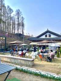 분수와 자연과 커피를 한 번에 즐기는 방법 "Kant House"🌿