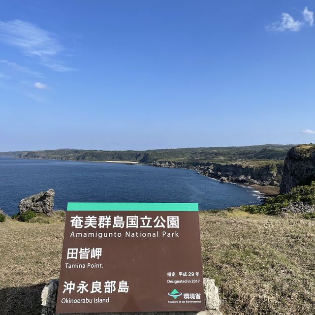 断崖絶壁！！　　田皆岬