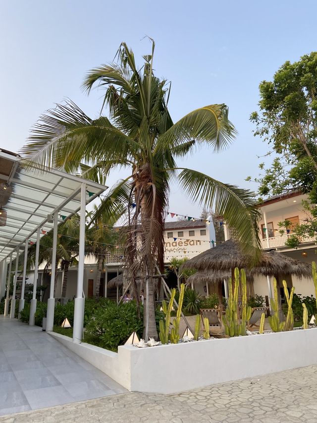 แสมสารมารีน่า 🌊