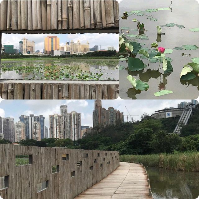 龍環葡韻🏖發現天空之鏡🤳