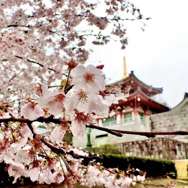 興正寺