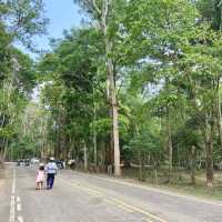 วนอุทยานแห่งชาติน้ำตกกะเปาะ