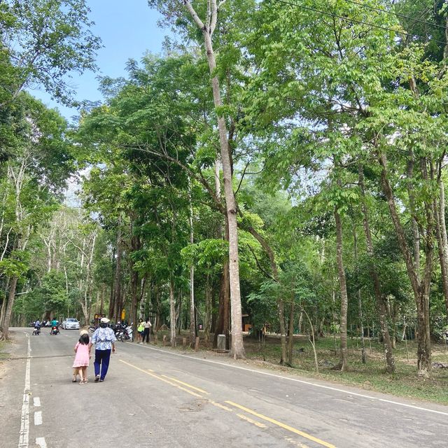 วนอุทยานแห่งชาติน้ำตกกะเปาะ