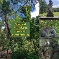 Sacred Monkey Forest Sanctuary 🐒