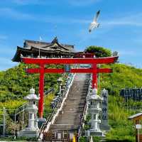 【青森県/蕪島神社】4万羽のうみねこと遭遇できる神社
