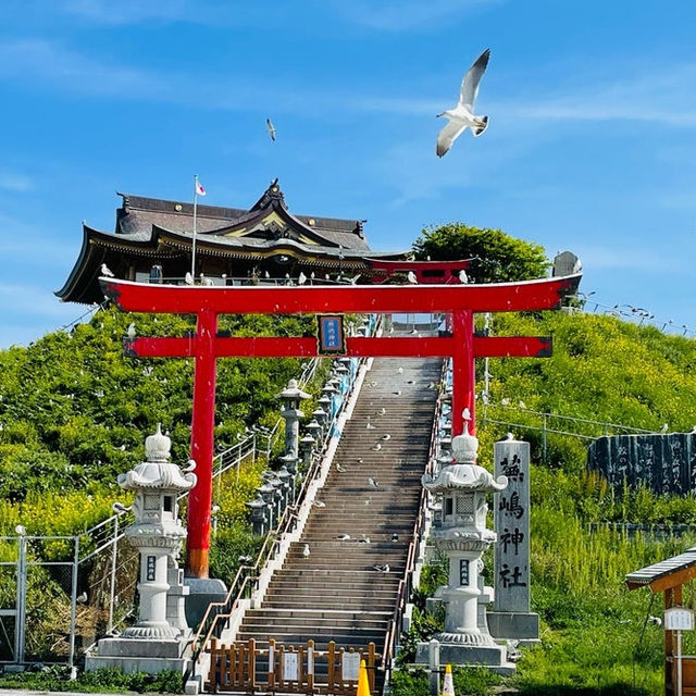 【青森県/蕪島神社】4万羽のうみねこと遭遇できる神社