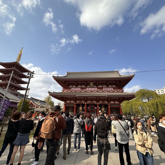 淺草、隅田公園🌸、晴空塔散策