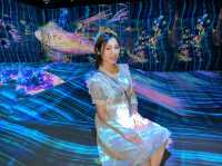 🦋Teamlab🐋光影效果🦎沉浸式體驗🧑🏻‍🎨啟發小朋友的創造力
