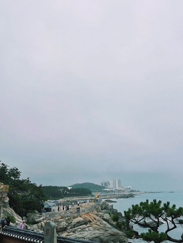 대한민국에서 가장 아름다운 사찰, 부산 해동용궁사🌊