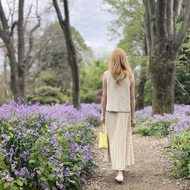 京都  四季折々のお花が楽しめるSPOT🌼