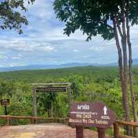 🌿⛰️สูดโอโซนแลความงามของผืนป่า ณ จุดชมวิวผาช่อ🌸