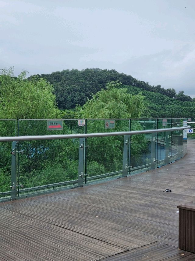 공중에 떠있는 아라전망대