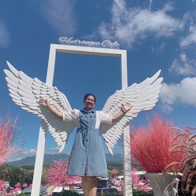 🌼🌼พักกายพักใจ💕💕ชมดอกไม้สวยๆๆ🪻🪻💐💐🌸🌼