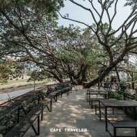 คาเฟ่สุดกองดี คาเฟ่สุดชิว ริมน้ำน่าน 