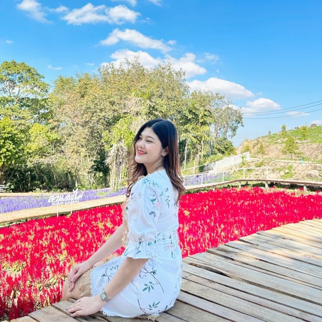 สวนละไม นานาดอกไม้🌷🌹🌻