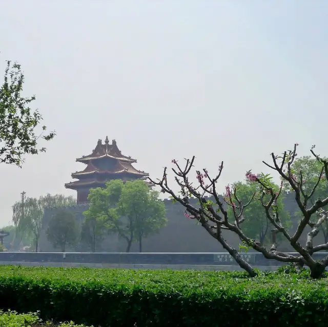 Strolling through scenic Summer Palace China