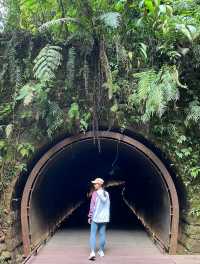 全台最美隧道-舊三貂嶺隧道