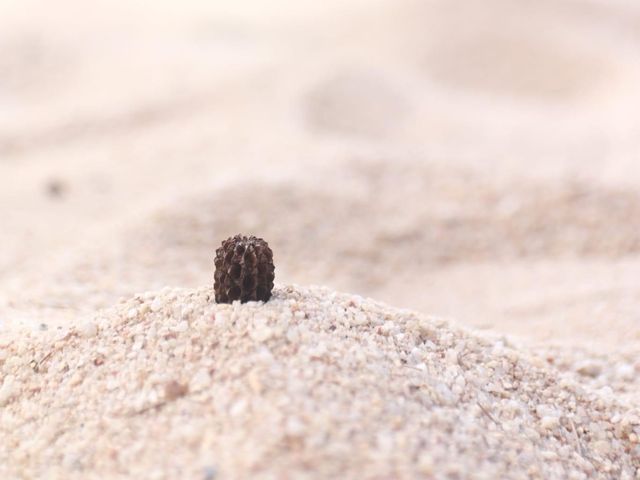 เที่ยวหาดแหลมเจริญ ระยอง ในวันฟ้าใส