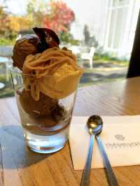 【由布院カフェ】チョコレート専門店のティールーム🍁