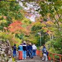 Autumn Splendor at Eigen-ji Temple