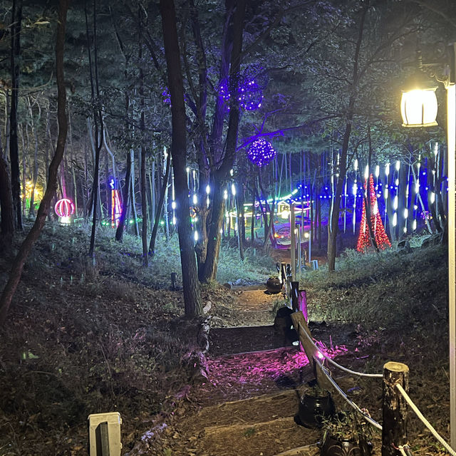 Magic After Dark at Forest of Light Garden