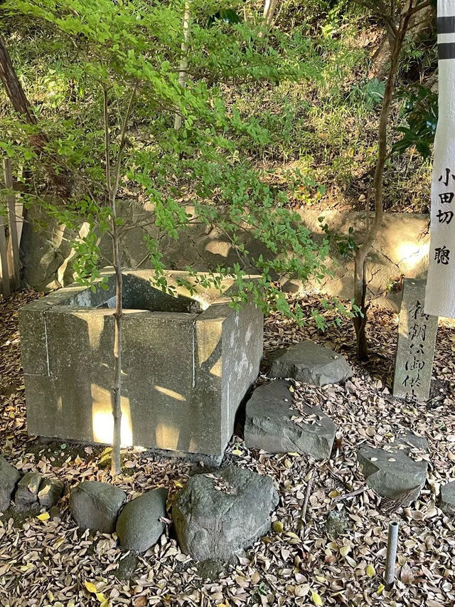 【神奈川県/白旗神社】源頼朝の外せない場所