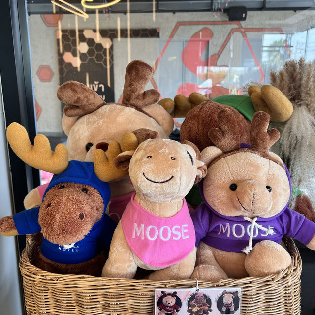 Moose hotel Chiangmai 🫎 ขนมฟรีมีไม่อั้น!!