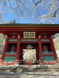 【群馬県/妙義神社】2023年行ってよかった！群馬県の神社②