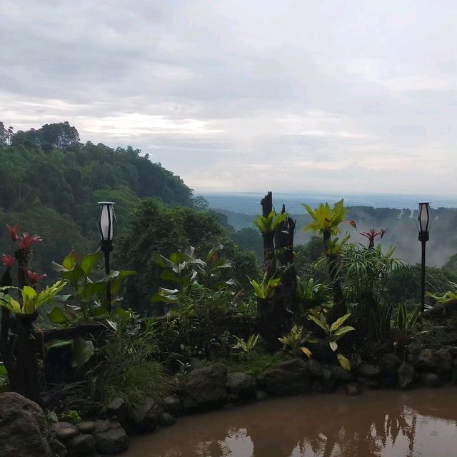 Alas veenuz in Mojokerto 