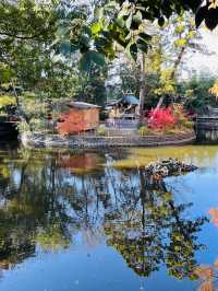 【埼玉県/武蔵一宮氷川神社】2023年行ってよかった！埼玉県の神社②