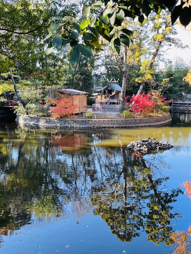 【埼玉県/武蔵一宮氷川神社】2023年行ってよかった！埼玉県の神社②