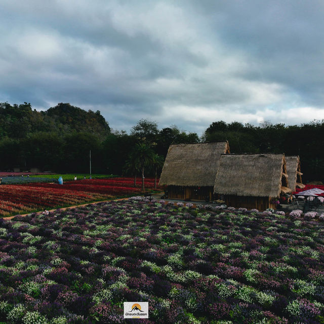 Hokkaido Flower Park Khaoyai