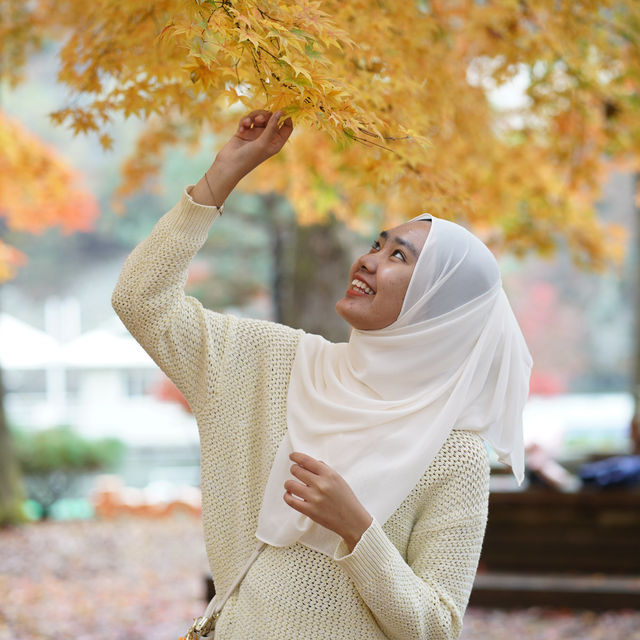 Enjoy the photoahoot in Nami Island