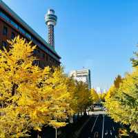 Idyllic Yokohama Day Trip