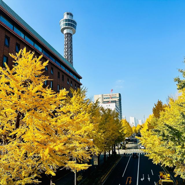 Idyllic Yokohama Day Trip