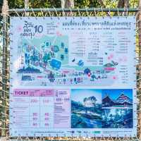 ชวนเที่ยวงานดอกไม้ ที่สวนแม่ฟ้าหลวง ดอยตุง