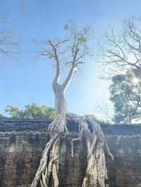 Siem Reap Province-Cambodia🇰🇭