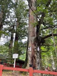 日光一日行程推介‼️走訪多個神社⛩️近距離欣賞男體山🤭